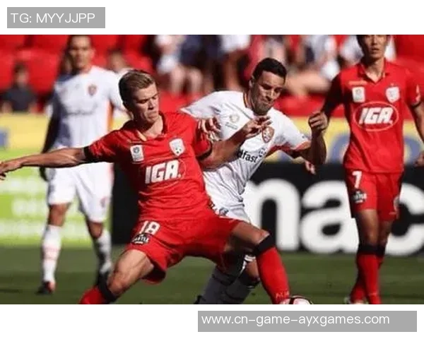 西悉尼流浪者对阵新城堡联队的比赛前瞻与胜负预测分析